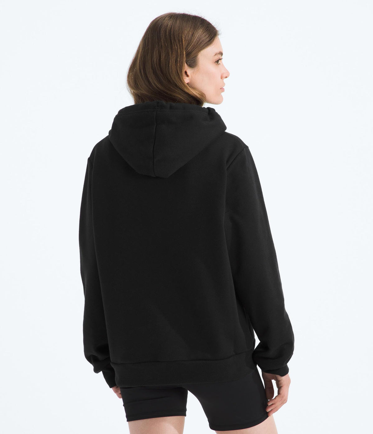 The North Face Womens Evolution Half Dome Hoodie